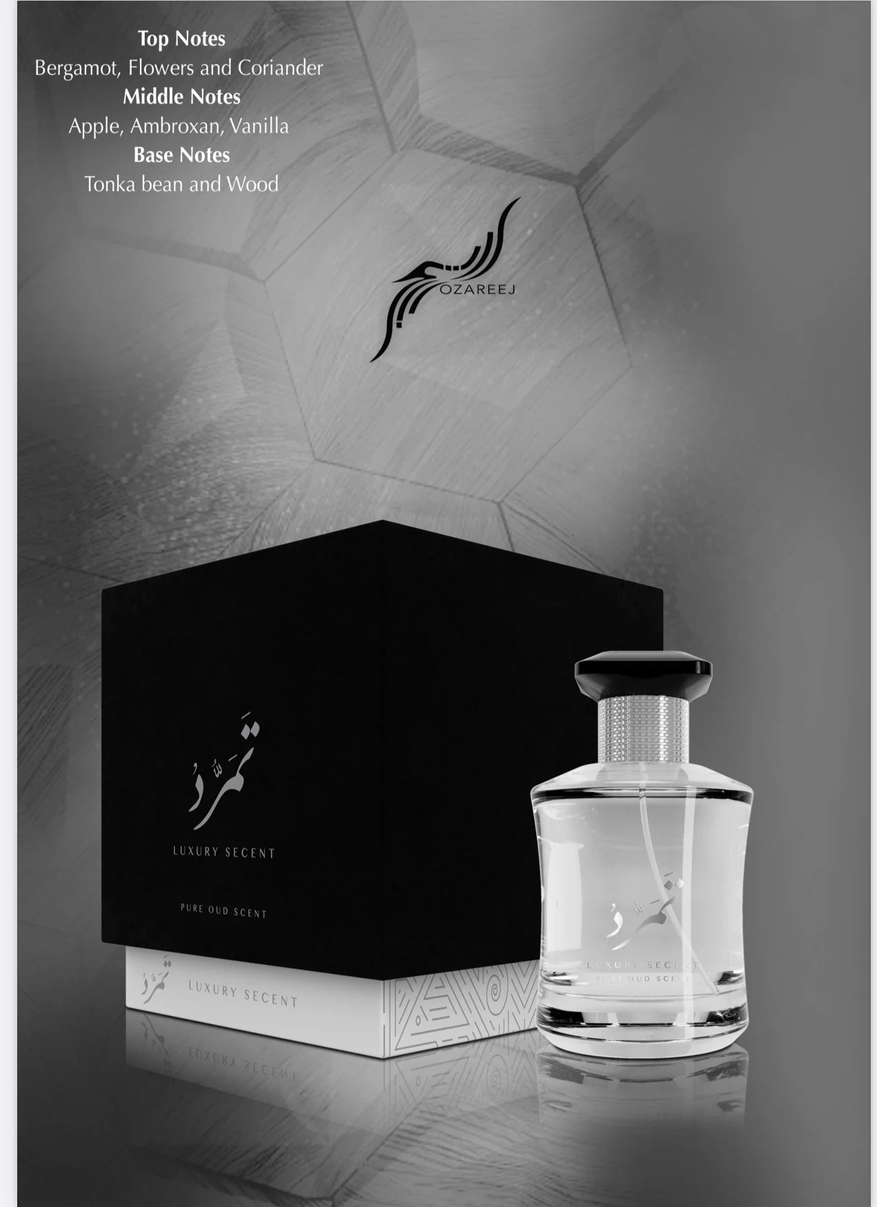 AMBITION SILVER LUXURY SCENT FOR HIM EDP -100ML (3.40z) By OZAREEJ