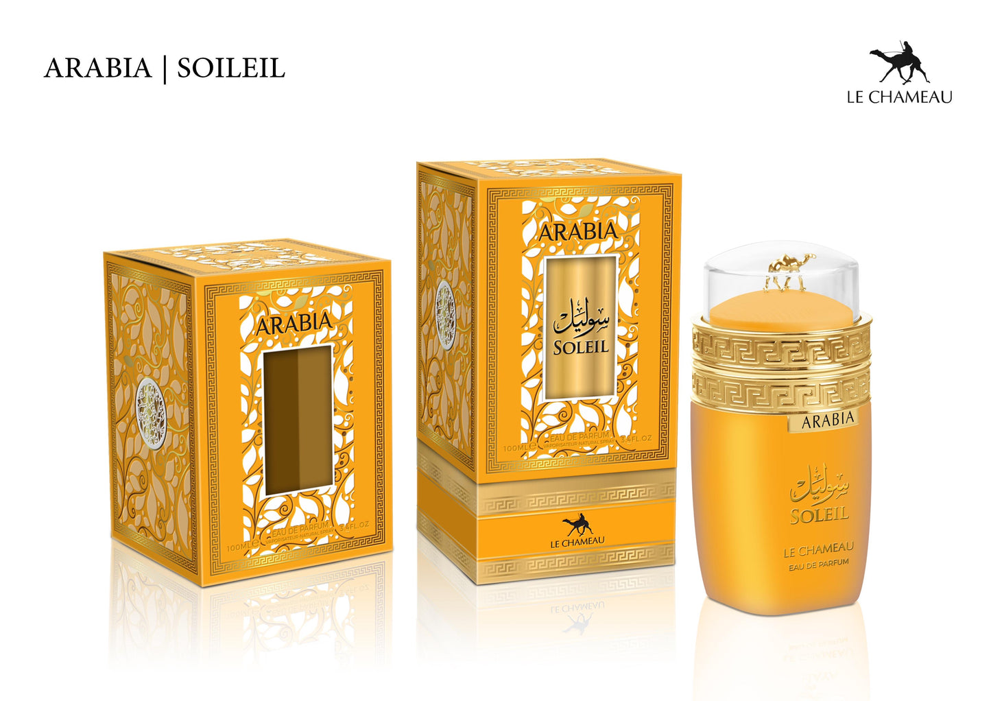 ARABIA SOLEIL WOMEN EDP - 100ML (3.4oz) BY LE CHAMEAU