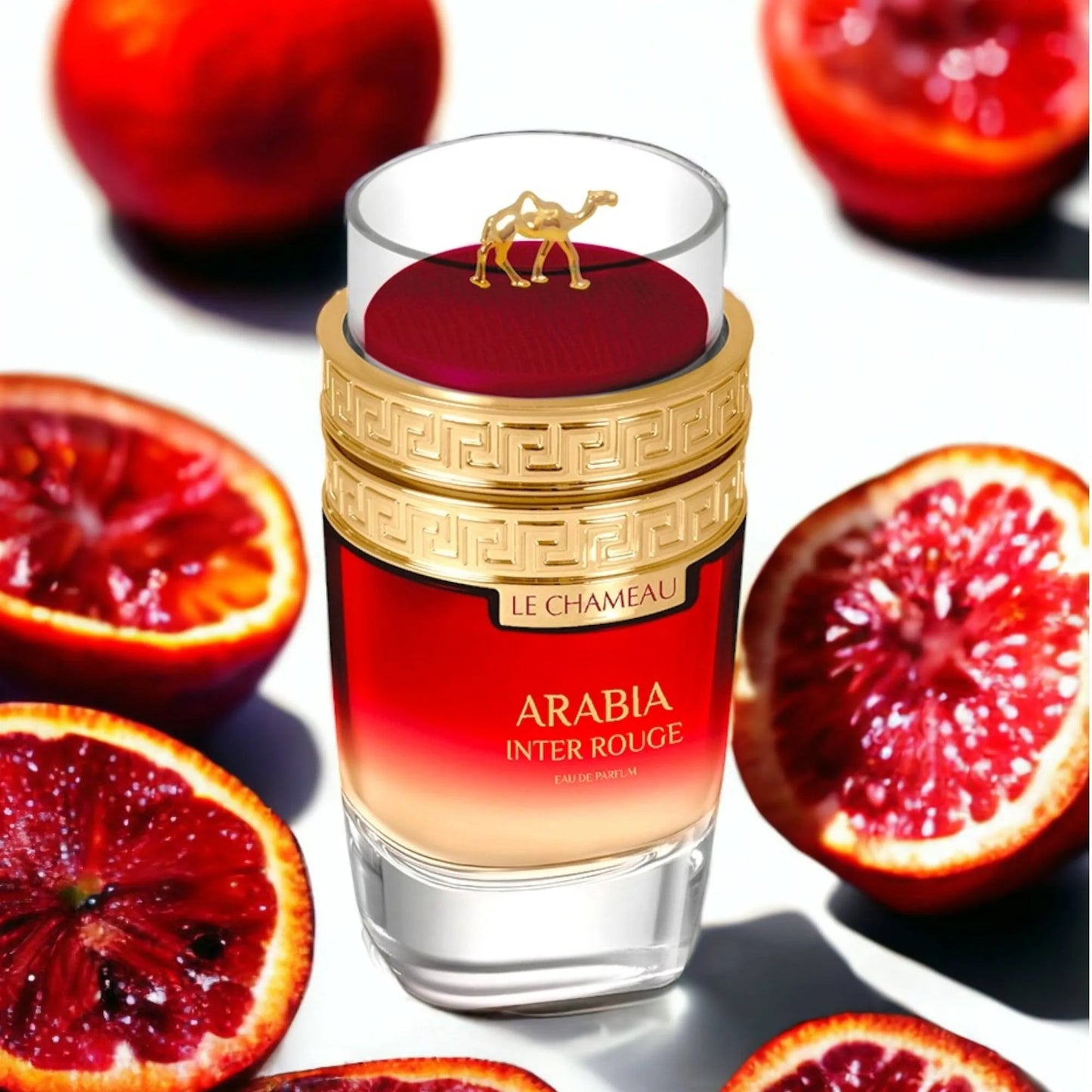 ARABIA INTER ROUGE EDP WOMEN- 100ML (3.40z) By Le Chameau