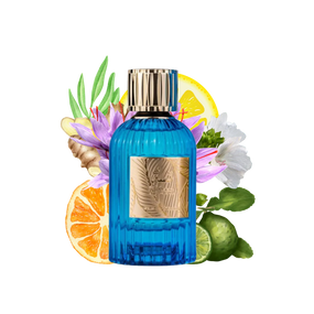 QISSA BLUE UNISEX EDP - 100 ml (3,4 oz) DE PARIS CORNER