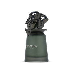 Thunder Unisex EDP - 100ml (3.4oz)